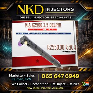 Delphi Kia K2500 Diesel Injectors