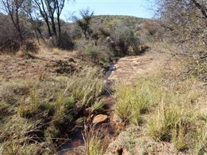 44 Ha Mountain Farm for Sale!