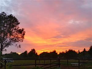 Vacant Land Residential For Sale in Blue Saddle Ranches