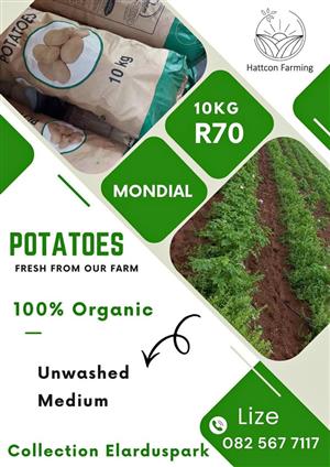 Potatoes - 10kg Mondials - Medium