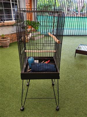 Bird cage parrot 