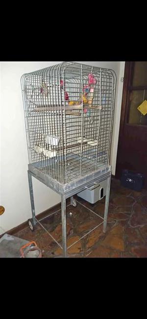Parrot cage with stand