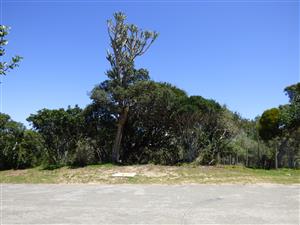 Build Your Coastal Escape in Kleinemonde