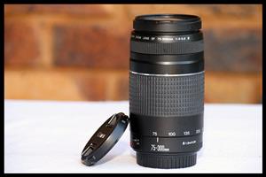 Canon EF 75-300mm f/4-5.6 III