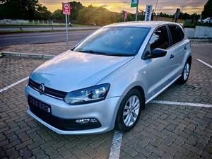 Polo 6 vivo