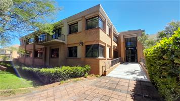 Position Your Business in a Space Ready to Be Shaped Around You