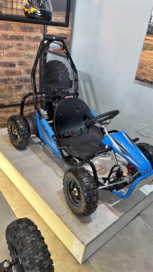 100cc petrol go-karts new Tao Motor