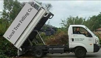 Tree felling services in Cape Town’s Metropole.