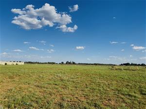 Land Investment Opportunity