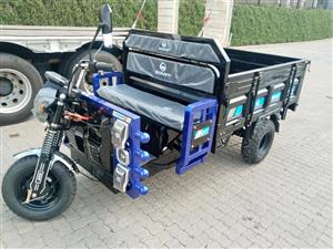 GIANT ELECTRIC SCHOOTER
