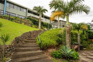 Your holiday gem the family favorite