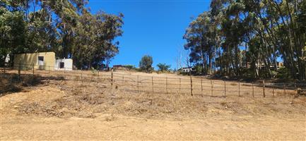 Elevated Stand with Sweeping Country Views in Napier