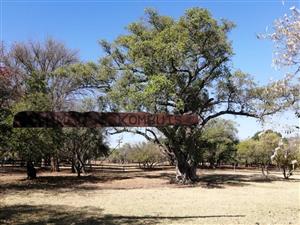 21 Hectare Historical Smallholding for Sale