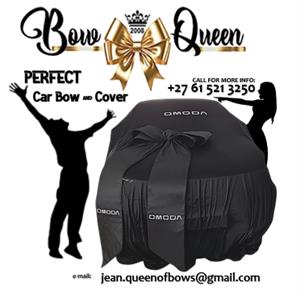 Delivery Car Bows and Car Covers