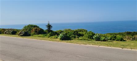 One of the few remaining vacant stands in Linkside