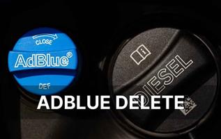 ADBLUE Ecu Software Removal / Deletes