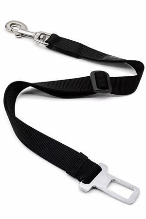 CAR ACCESSORIES 