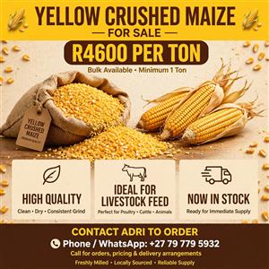 Yellow maize crushed 