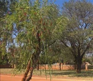 Vacant Land Residential For Sale in Mookgopong