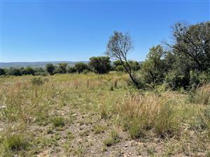 Investor's dream and development opportunity