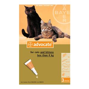 Buy Advocate for Small Cats at Lowest Price			