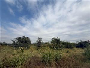 Vacant Industrial Land Up For Rent