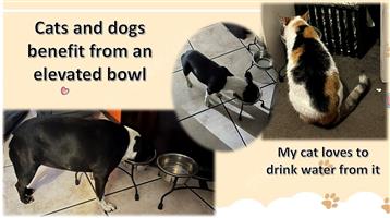 Elevated dog food bowls to order