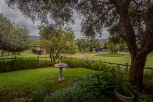 An Exceptional Opportunity!