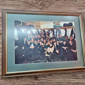 SPRINGBOKS RUGBY FRAME