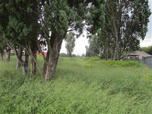 Vacant Land Residential For Sale in Henley On Klip