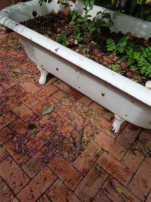 Vintage bath planter