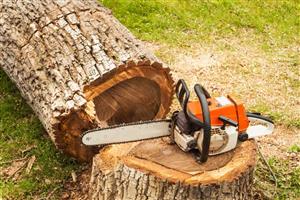 Tree cutting/felling and gardening 
