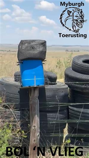 Bol 'n Vlieg - Vlieëvanger