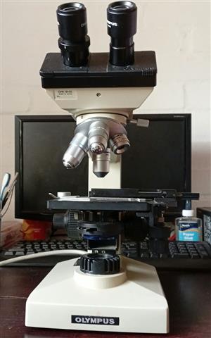 Olympus CHK Microscope