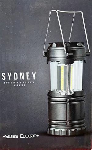 Led camping light with bluetooth speaker 