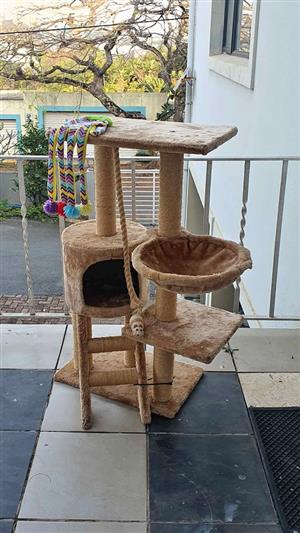 Cat Scratch