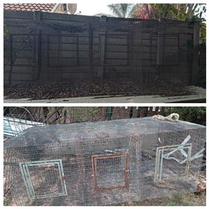 bird cage