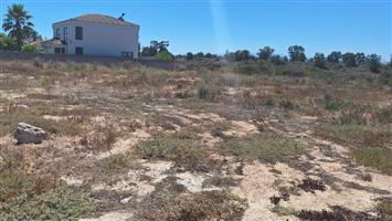 Desirable plot in quiet area