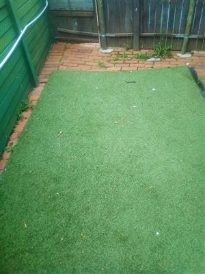 Cricket or dog traing or just cover patio grass