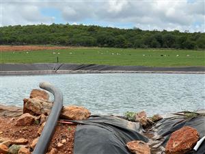 EXCEPTIONAL AGRICULTURAL OPPORTUNITY NEAR MUSINA