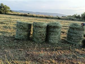Grass/Lucerne Bales
