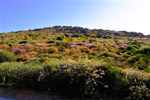 365m²Plot for sale for only R499 000-00 in Kapteinskloof, St Helena Bay, West Coast