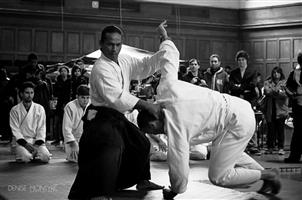 Traditional Aikido in Cape Town