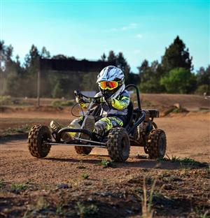 Gokart’s for teens and adults 200cc