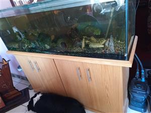 Fish tank to sell cash only please