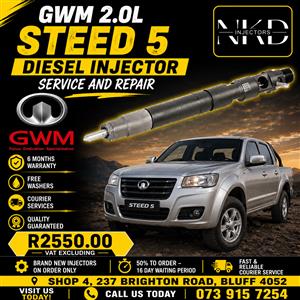 Repair_GWM_2.0L_STEED_5_Injectors 