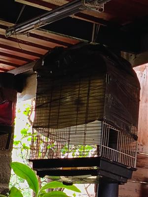 Bird cage