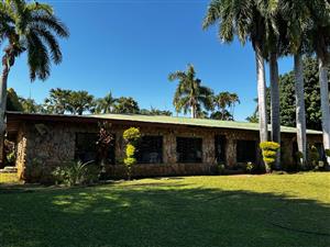 Farm For Sale in Tzaneen Rural