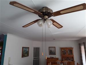 Ceiling Fan Junk Mail