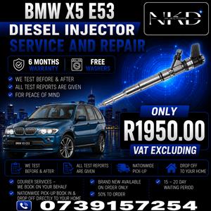 BMW_X5_E53_Injectors_On_Recondition
